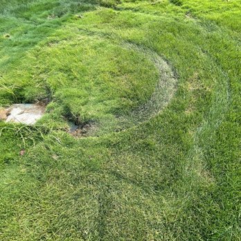 TruGreen Lawn Care - Tracks running over cover, and making more mud holes. - Tree Services Near Me - Meridian, Idaho TruGreen Lawn Care - Tracks running over cover, and making more mud holes. - Tree Services Near Me - Meridian, Idaho