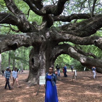 Sites and Insights Tours - Historical Tours Near Me