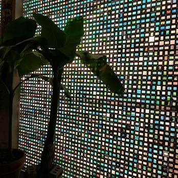 Somerset Bar - Indoor - Beer Gardens Near Me - Cincinnati, Ohio
