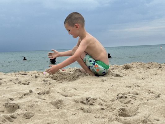 Warren Dunes State Park by null