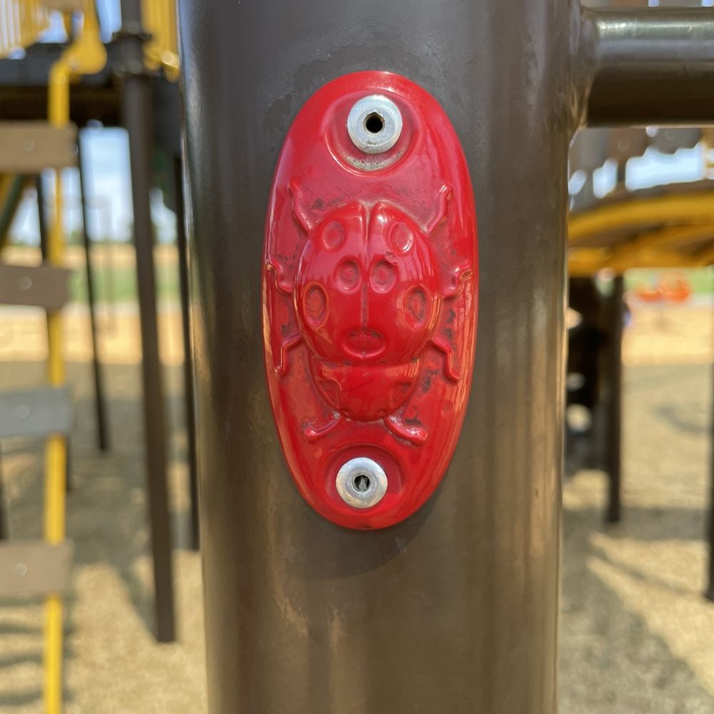 Found the ladybug! Found the ladybug!