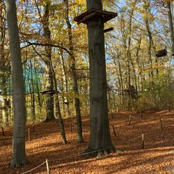 Hochseilgarten Abenteuerpark