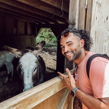 Apple Hill Farm - Attraction Farms Near Me - Banner Elk, North Carolina