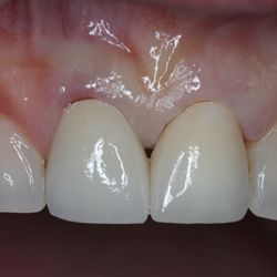 Stephen J Giovanisci, DDS