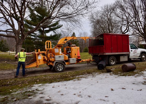 HUSTON’S TREE SERVICE - Updated January 2025 - 16 Photos - 15801 Oak