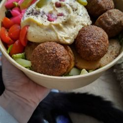 Crave - Kibbe salad bowl