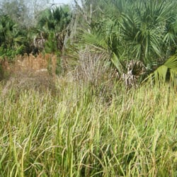 Town of Osceola - Tough place to explore