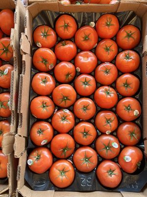 Coconut Grove Farmer's Market by null