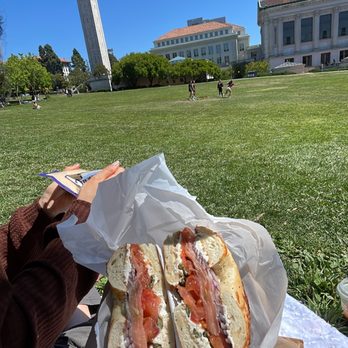 Bagel Street Cafe - a person holding a sandwich - Bagels Near Me - Berkeley, California