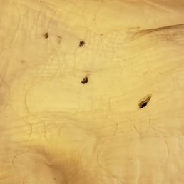 Sheets with holes/burns. Naaasty! Sheets with holes/burns. Naaasty!