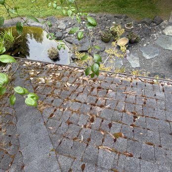 Nor Cal House Wash - We will remove the moss from your roof and protect the life of your roof with professional treatment - Pressure Washers Near Me - Arcata, California Nor Cal House Wash - We will remove the moss from your roof and protect the life of your roof with professional treatment - Pressure Washers Near Me - Arcata, California