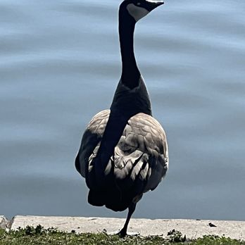 City Park - Parks Near Me - Denver, Colorado
