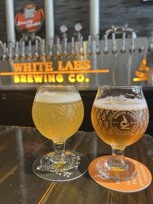 White Labs Brewing Co - San Diego by null