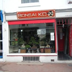 Bonsai Ko