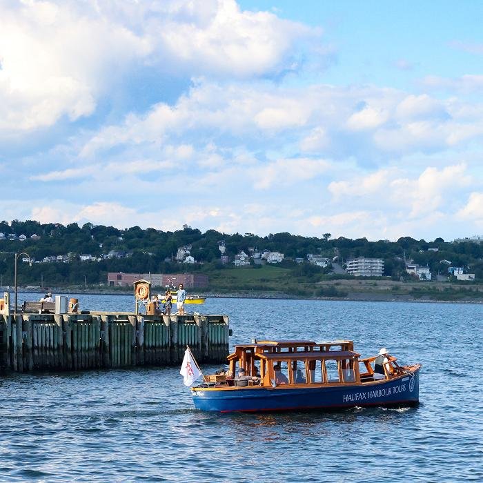 Harbour Tours