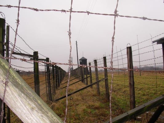 State Museum at Majdanek by null