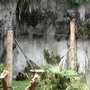 Photo of Zoológico de São Paulo