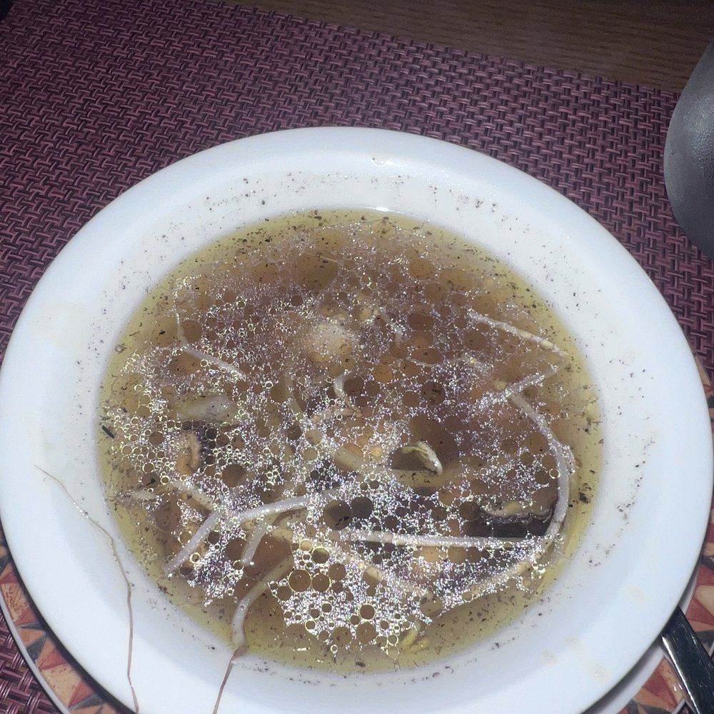 Udon soup
