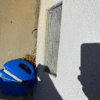 Rodent Control - Pest Control Near Me - San Jose, California Rodent Control - Pest Control Near Me - San Jose, California