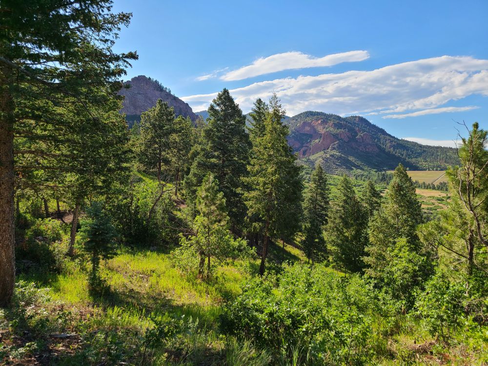 Inspiring Agency - child therapist in Colorado Springs, CO