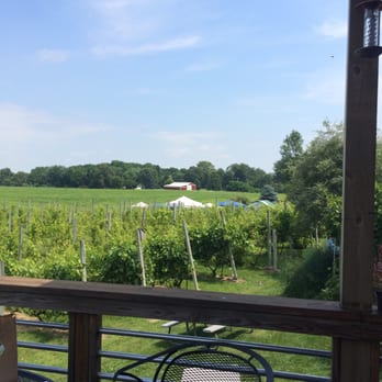 Sandhill Crane Vineyards - The view, while wine tasting on the deck. - Wineries Near Me - Jackson, Michigan