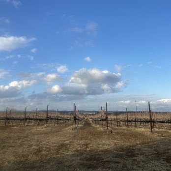 K Estate Vineyards - Wineries Near Me - Stonewall, Texas K Estate Vineyards - Wineries Near Me - Stonewall, Texas
