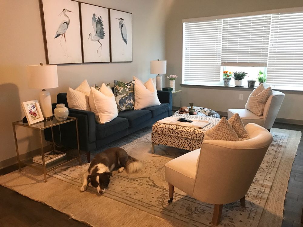 Blake Cleaning Services - veterans service organization in Brandon, MS