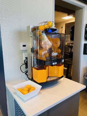 Freedom Bagel Bakery by null