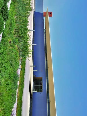 Southbrook Organic Vineyards by null