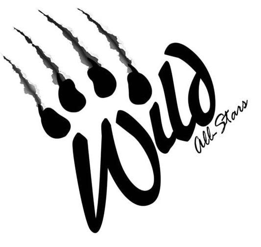 Wild AllStars Cheerleading, Orchard Park Roadtrippers