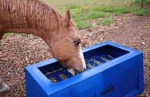 The Natural Feeder - equestrian in Ames, IA