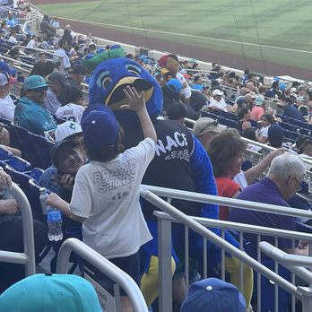 LoanDepot Park - Stadium Mascot - Stadiums & Arenas Near Me - Miami, Florida LoanDepot Park - Stadium Mascot - Stadiums & Arenas Near Me - Miami, Florida
