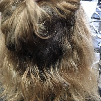 Alexx Beauty Salon - Hair Salons Near Me - Brooklyn, New York