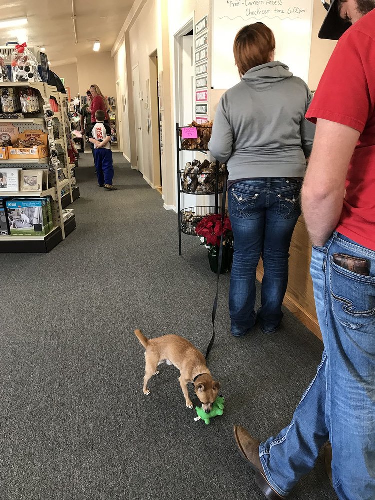 DOGTOWN Updated September 2024 5002 Williams Ave, Woodward