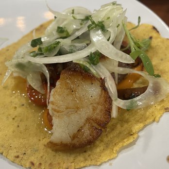 Holbox - Scallop Taco - Latin American Near Me - Los Angeles, California Holbox - Scallop Taco - Latin American Near Me - Los Angeles, California