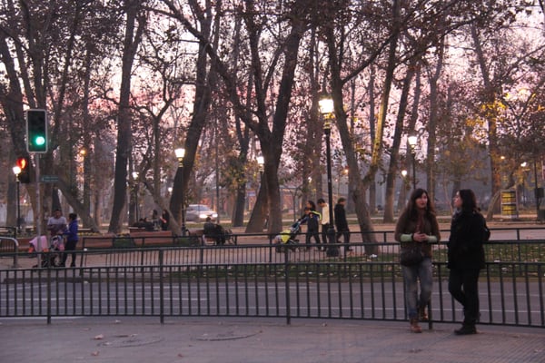 Parque Forestal by null