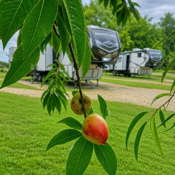 Lucky's RV Park - RV Parks Near Me - Temple, Texas Lucky's RV Park - RV Parks Near Me - Temple, Texas