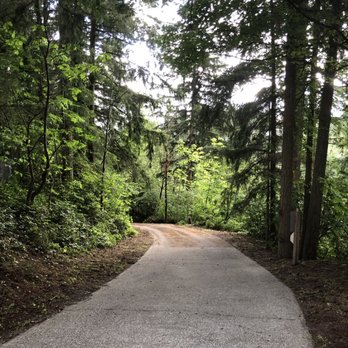 NAS Cut Landscaping - Upper half of our driveway. Foliage cleaned & cleared on both sides. - Landscaping Near Me