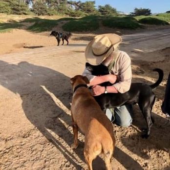 Hooker's Hounds - Pluto getting a hug from yours truly, while Kiro waits in line. Pepper in the background. - Dog Walkers Near Me - San Francisco, California