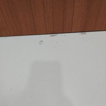 SpringHill Suites by Marriott Orangeburg - Next to breakfast bar, very dirty - Hotels Near Me - Orangeburg, South Carolina SpringHill Suites by Marriott Orangeburg - Next to breakfast bar, very dirty - Hotels Near Me - Orangeburg, South Carolina