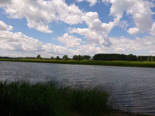 Boucherville Islands National Park by null