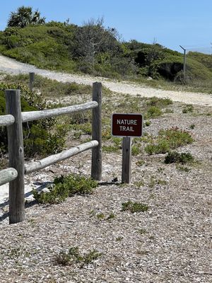 Henderson Beach State Park by null