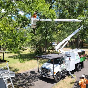 Rothco Tree Service - Tree Services Near Me Rothco Tree Service - Tree Services Near Me