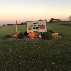 Just Piddlin Farm And Pumpkin Patch - Great family farm for fall!