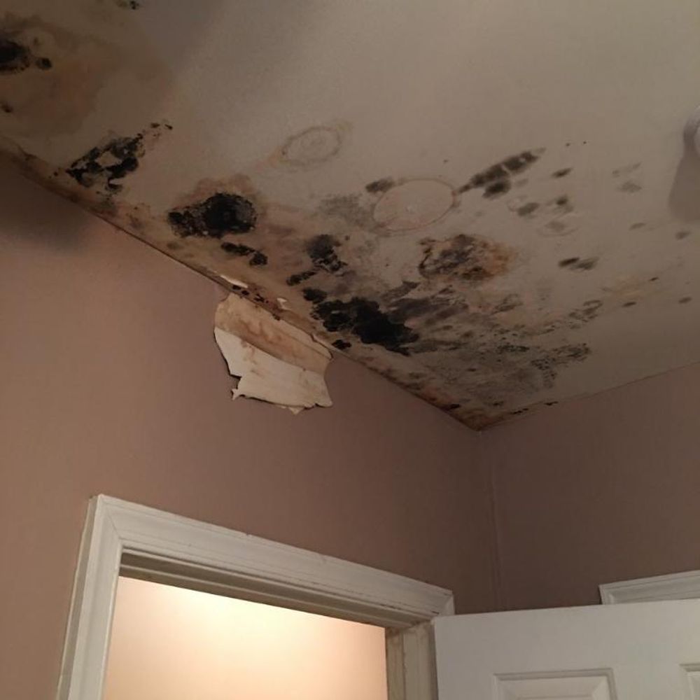Antonio's Home Improvement - Before guest room - General Contractors Near Me Antonio's Home Improvement - Before guest room - General Contractors Near Me