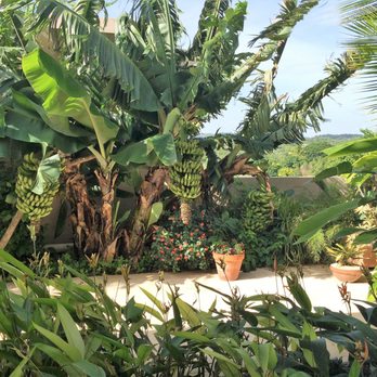 4 Casitas - Casita garden - Bed & Breakfast Near Me - Cabo Rojo, Puerto Rico