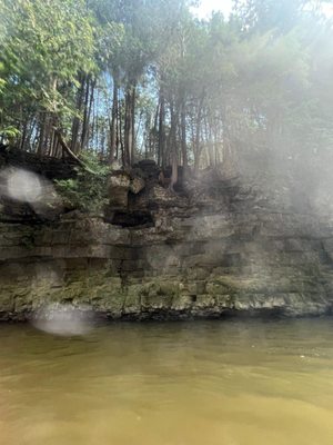 Elora Gorge Conservation Area by null