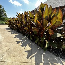 Guthrie Greenhouses - Red Dirt Plants from Guthrie Greenhouses