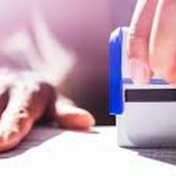 Broward Notary Public - Notary Public - Notaries Near Me - Coconut Creek, Florida Broward Notary Public - Notary Public - Notaries Near Me - Coconut Creek, Florida