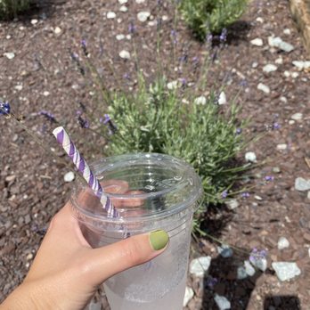 Sweethaven Lavender - Lavender Lemonade - Farms Near Me - Williamsburg, Virginia Sweethaven Lavender - Lavender Lemonade - Farms Near Me - Williamsburg, Virginia